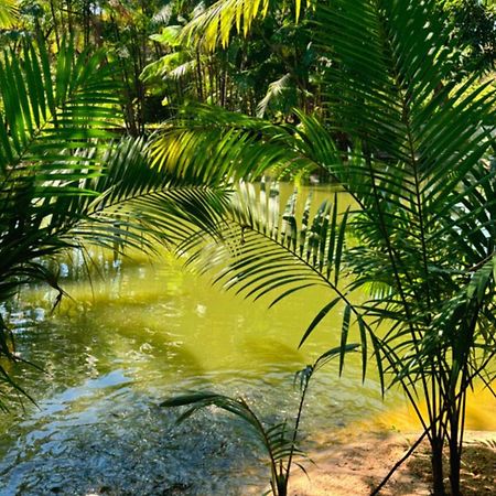 Pousada Beira Rio Barrerinhas Ξενοδοχείο Barreirinhas Εξωτερικό φωτογραφία