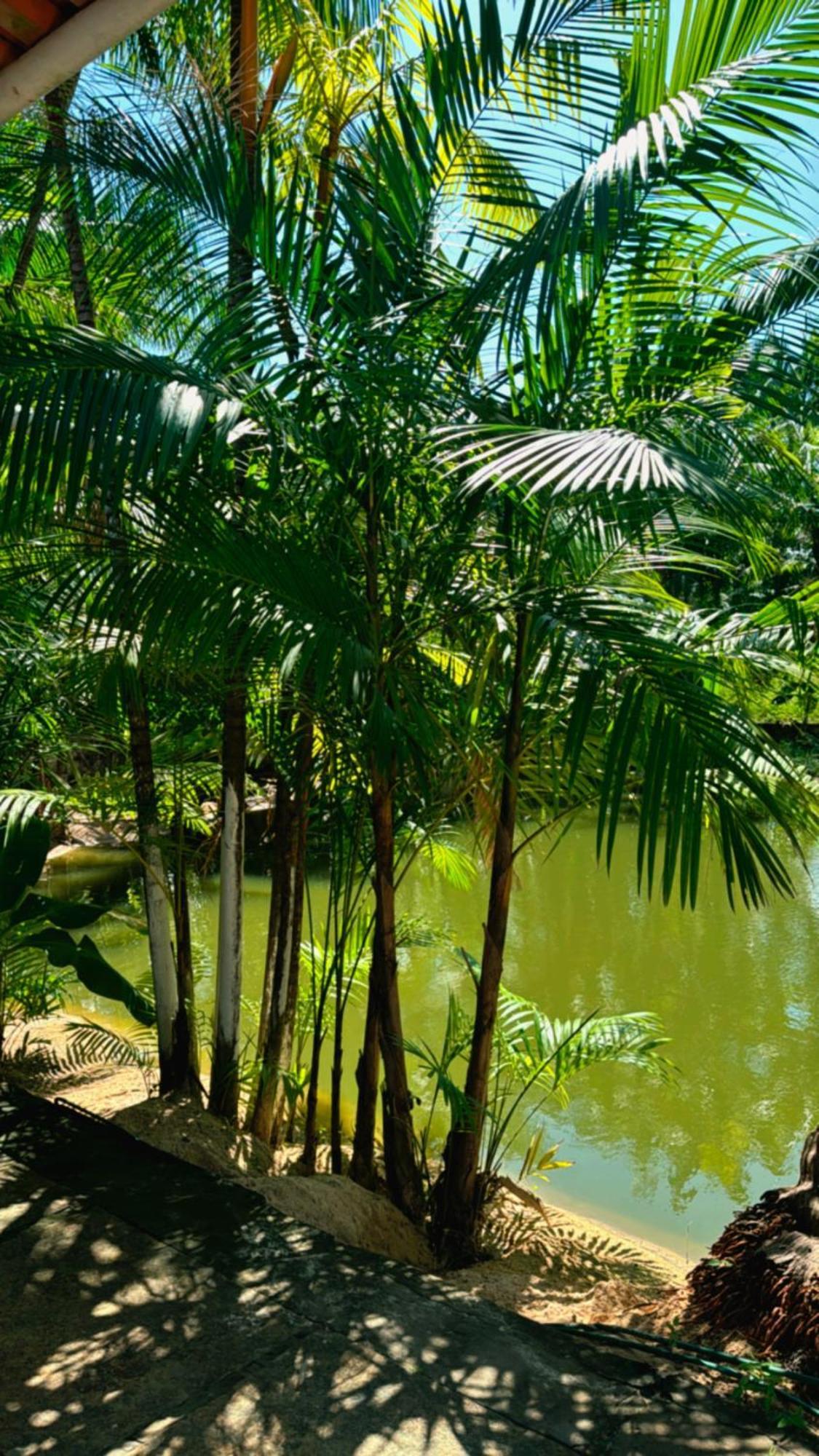 Pousada Beira Rio Barrerinhas Ξενοδοχείο Barreirinhas Εξωτερικό φωτογραφία