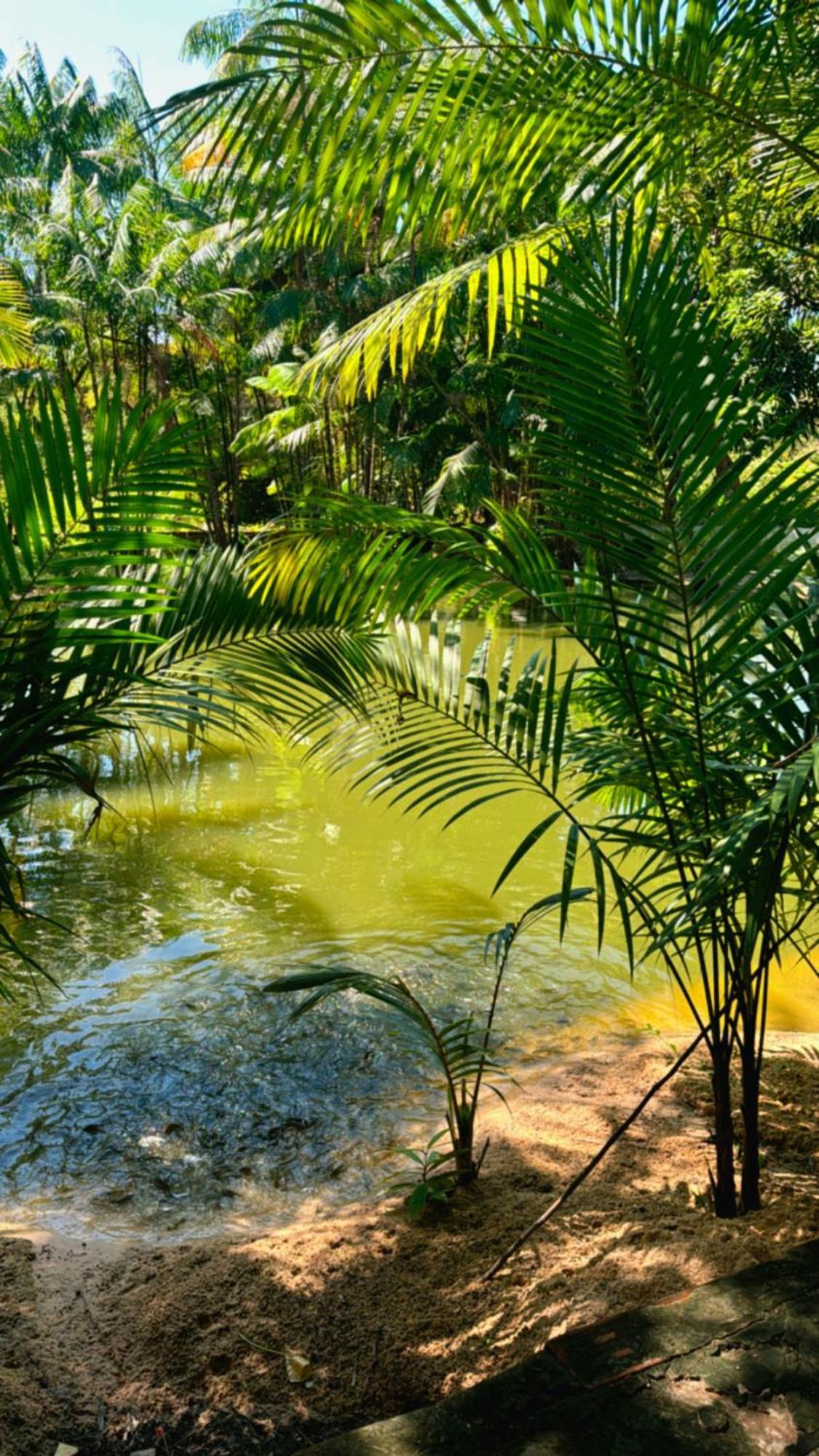 Pousada Beira Rio Barrerinhas Ξενοδοχείο Barreirinhas Εξωτερικό φωτογραφία