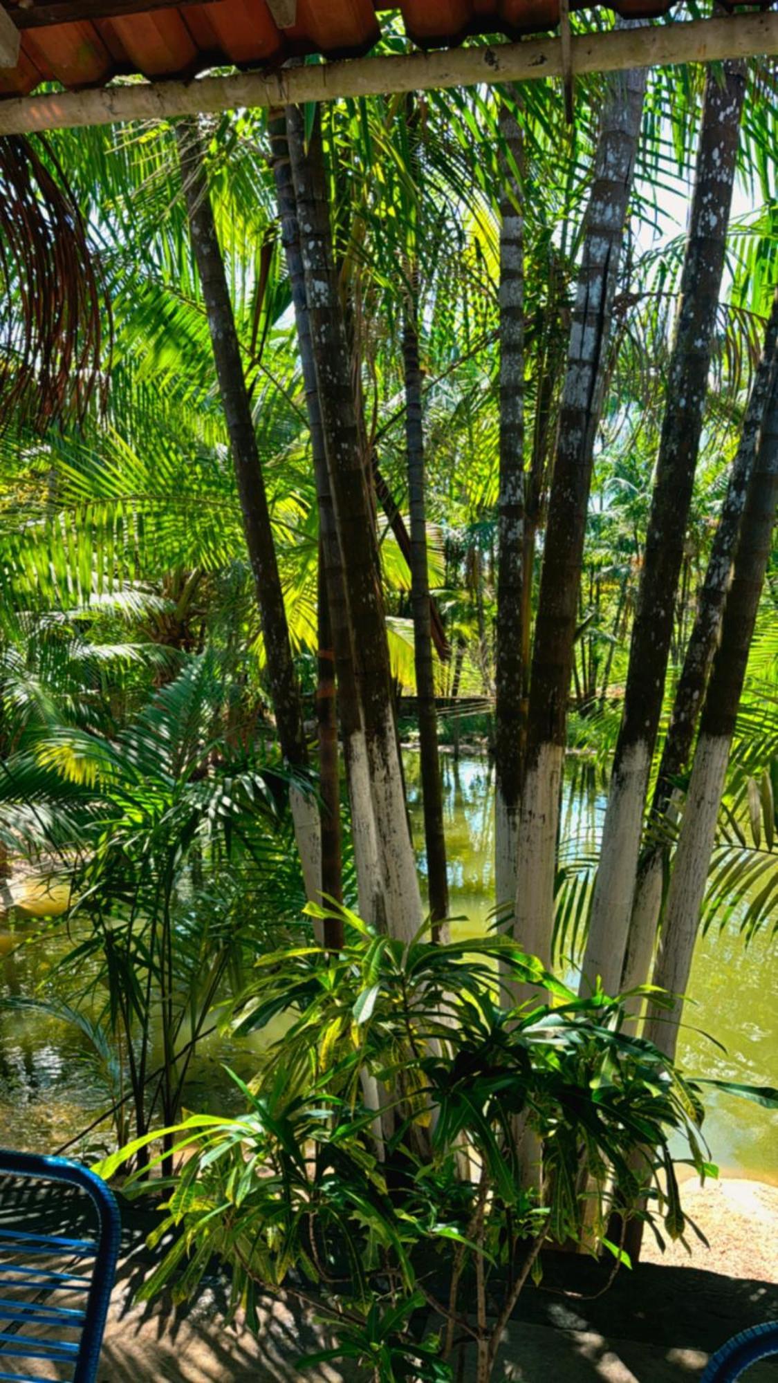 Pousada Beira Rio Barrerinhas Ξενοδοχείο Barreirinhas Εξωτερικό φωτογραφία